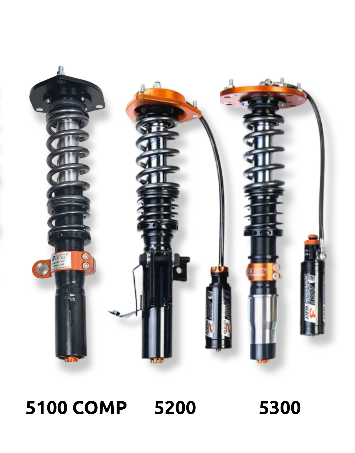 AST Suspension Coilovers - BMW Z4 M (E85, E86)