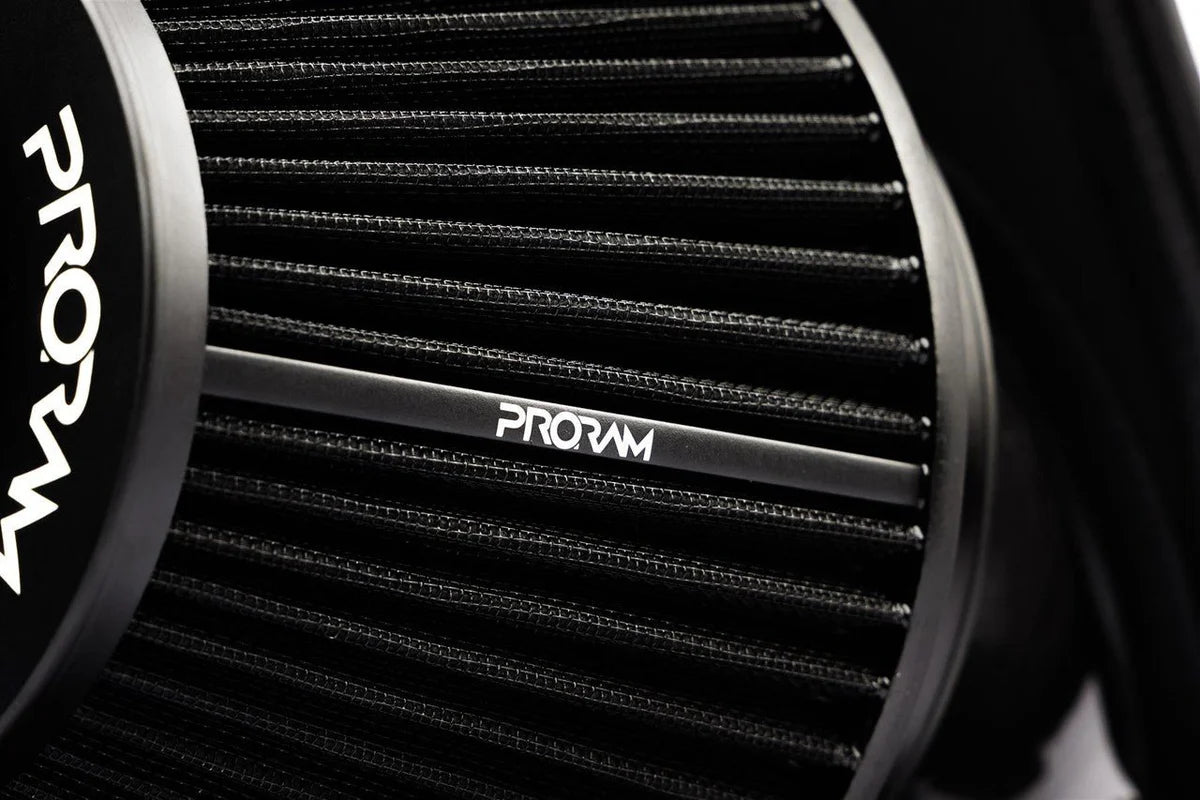 BMW 128ti / M135i F40 &amp; Mini GP F56 Pleated Air Intake Filter Kit by RamAir